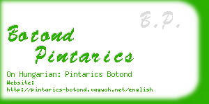 botond pintarics business card